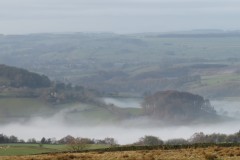 IMG_1701