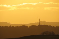 IMG_4266