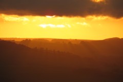 IMG_4422