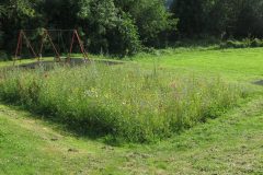 Allotment