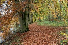 River Derwent