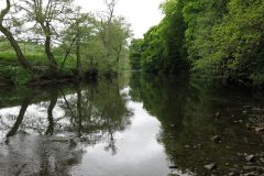 River Derwent